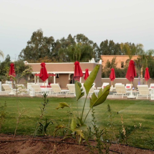 Paysagiste à Marrakech aménagement de jardins
