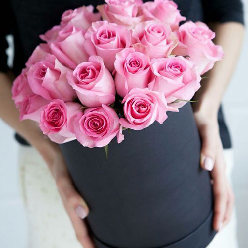 rose-5