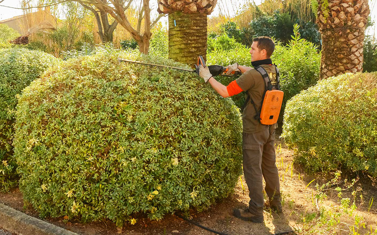 Aménagement de jardins à Marrakech